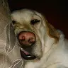 Victoria Tully - @victully - TikTok