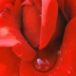 Victoria weeks - @victoriaweeks413 - Instagram
