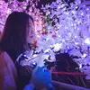 Victoria Yip🥀🖤 - @victoriayip729 - TikTok