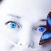 Vida Aymami Allison - @gazonta - TikTok