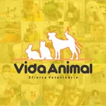 Clínica Veterinária Vida Animal - @vidaanimalonline - Instagram