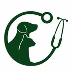 Clínica Vida Animal - @vidaanimalcv - Instagram