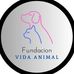 Fundación Vida Animal - Facebook