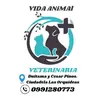 Veterinaria Vida Animal 🐶🐱❤ - @vidaanimalveterinaria - TikTok