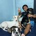 Vida Animal - Facebook