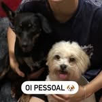 Vida Animal - @vida.animaaal - Instagram
