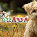 Vida Animal - @clinicavidaanimalrr - Instagram