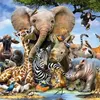 Vida Animal - @vidaanimal.videos - TikTok