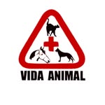 Vida Animal | Clínica Veterinário - @vidaanimaltp - Instagram