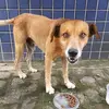 vida animal narrada - @vidaanimalnarrada - TikTok