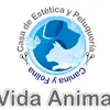 Vida Animal pasto 🐱🐶 - @vida.animal_pasto - TikTok