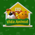 Vida Animal Presidente Dutra - @vidaanimalvett - Instagram