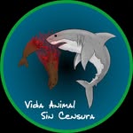 Vida Animal Sin Censura - @vida_animal_sin_censura - Instagram