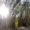 unividacooperativ - @unividacooperativ - TikTok