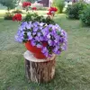 Vida Long - @vida.long2 - TikTok