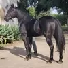 vidalalvarez787 - @vidalalvarez787 - TikTok