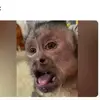 Cervantes Vidal - @cervantesvidal - TikTok