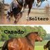 Vidal Gutierrez - Facebook
