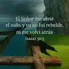 Vidal Ramirez - @vidal.ramirez531 - TikTok