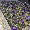 VIdalramirez - @vdalramirez - TikTok