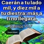 Vidal Antonio Padilla Salmeron - Facebook