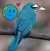 Vidal Vazquez - Facebook