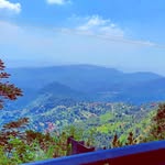 @viditkohli29 - Instagram