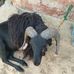 Vidya ramesh - Facebook