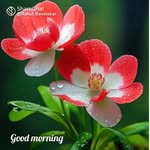 Vidya Vinod Gaikwad - @gaikwad.vidyavinod - Instagram