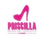 Priscilla El Musical - @viendopriscilla - Instagram