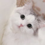 Vien Doan - @vien.doan.3701 - Instagram
