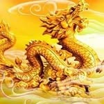 Vien Doan - @vien8582 - Instagram