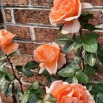 Vien Doan Van Bien - @viendoanvanbien - Instagram