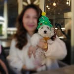 Vien Lam - @vien6303 - Instagram