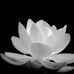 Vien Vo - Facebook
