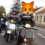 Vienna Sooter Fox 🦊 - @scooterist68 - Instagram