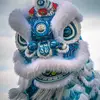 MÚA LÂN SƯ RỒNG VIỆT NAM - @lansurongvietnam - TikTok