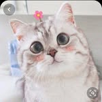 ___VIỆT___ - @_viet_lee_ - Instagram