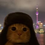 Viet Lee - Facebook