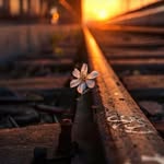 Viet Lee - @vietle0498 - Instagram