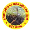 VIỆT VƯƠNG đông trùng rừngVN - @dongtrungrungvietnam01 - TikTok