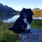Viggo Hansen - @hviggo - Instagram