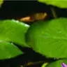 vignesh sridhar - @vigneshsridhar24 - TikTok