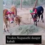 Vignesh Suriya - @vignesh.suriya.353 - Instagram