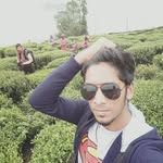Viki Ze Waddle - @vignesh_vasudev - Instagram