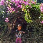Vihar Patel - @vihar2004 - Instagram