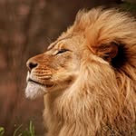 Vijay Devaraj - @ex_darkroom_velecham - Instagram