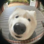 vijay - @vijaydevaraj_ - Instagram