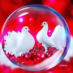 @vijaydevaraj0712 - Instagram