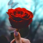 Vijay Mane - @vijaymony2210 - Instagram